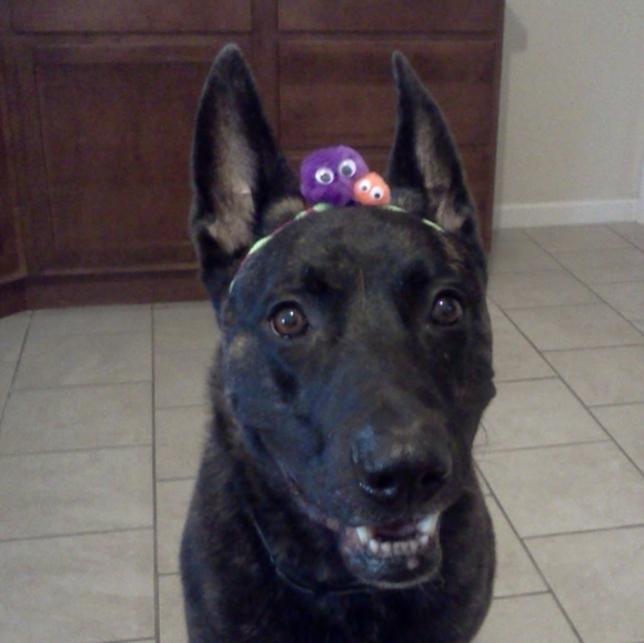 Meet your Posher - Picture 7 of 7